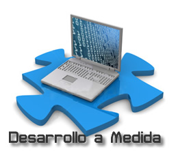 Desarrollo de software a medida. 5 Beneficios para tu empresa.